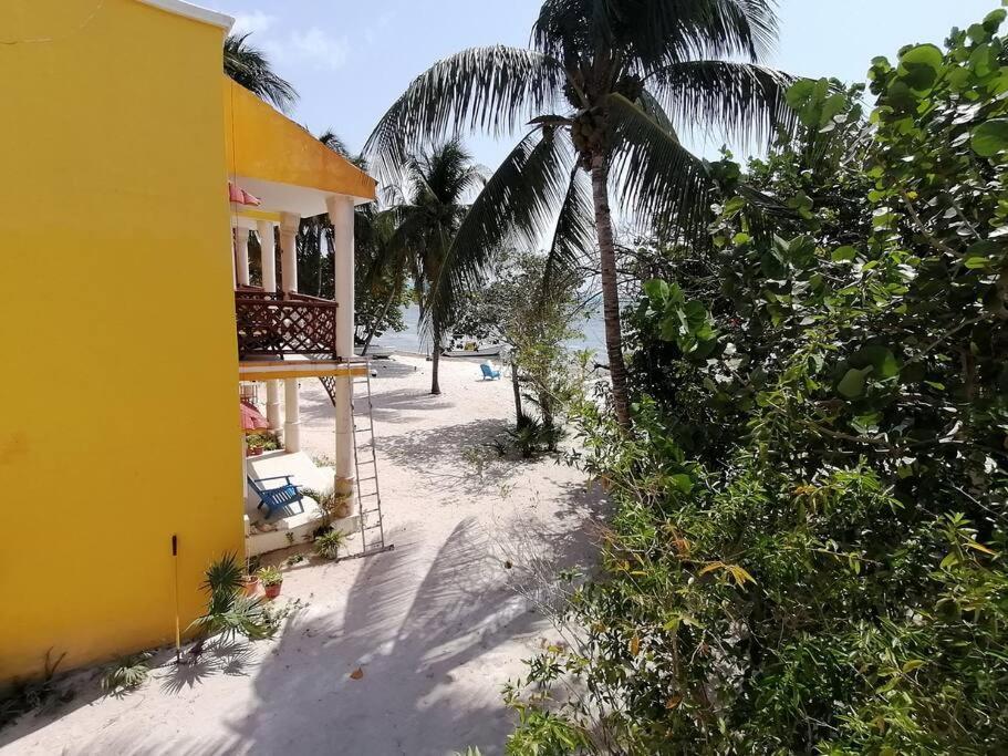 Marysol Great Views Beachfront Next To Nomads D3 Isla Mujeres Zewnętrze zdjęcie